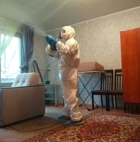 дезинсекция квартиры в Шаховской